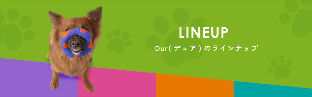Lineup Durのラインナップ