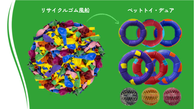 リサイクルゴム風船がペットトイデュアに