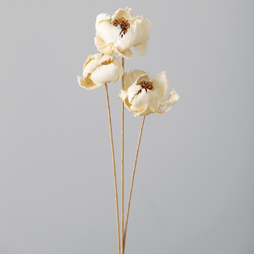 ドライフラワー パームフラワー