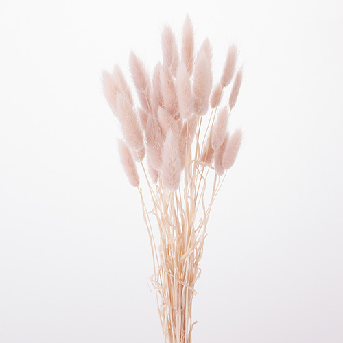 ラグラスピンクベージュ